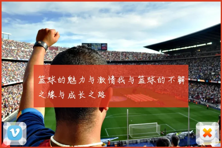 篮球的魅力与激情我与篮球的不解之缘与成长之路