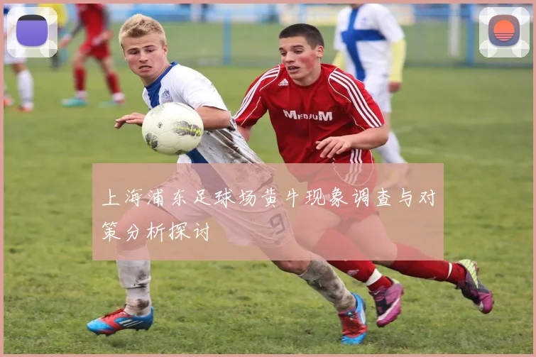 上海浦东足球场黄牛现象调查与对策分析探讨