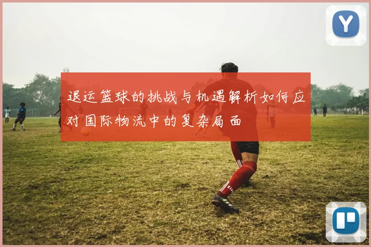 退运篮球的挑战与机遇解析如何应对国际物流中的复杂局面