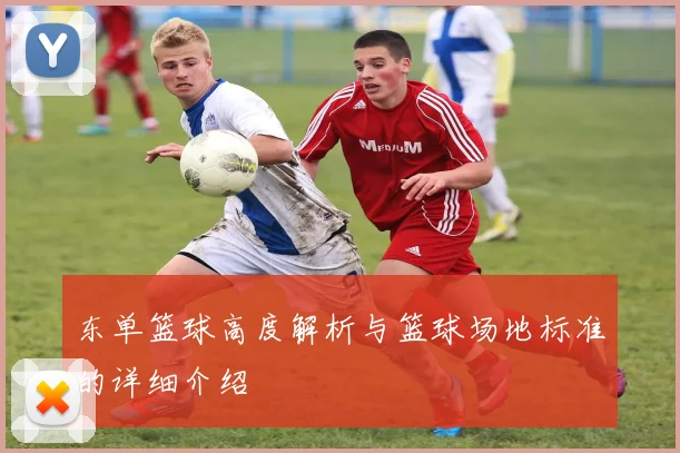 东单篮球高度解析与篮球场地标准的详细介绍